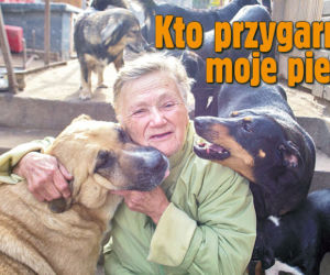Kto przygarnie moje pieski