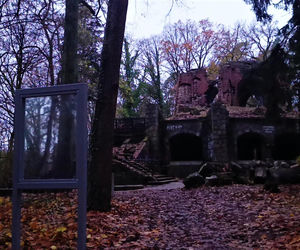 Teren wokół Wieży Quistorpa został uporządkowany