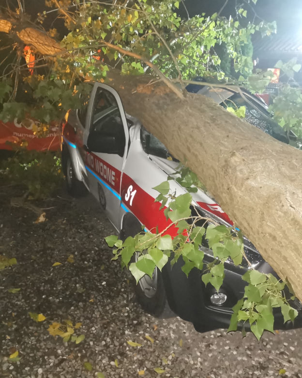 Powalone drzewo zniszczyło auto Nadgoplańskiego WOPR Kruszwica