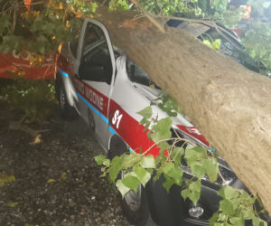 Powalone drzewo zniszczyło auto Nadgoplańskiego WOPR Kruszwica
