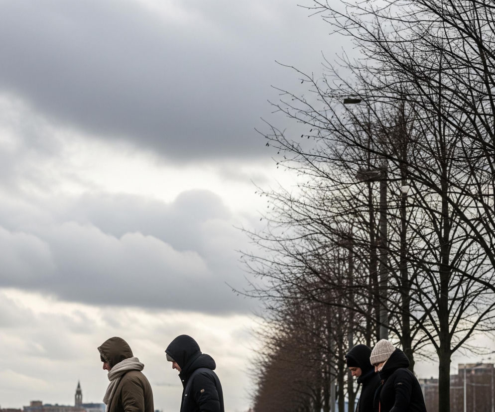 Cztery osoby, ubrane w zimowe kurtki i czapki, idą w prawo, widoczne od pasa w górę w dolnej części kadru. Niebo jest pochmurne, z gęstymi, szarymi chmurami zajmującymi większość górnej części obrazu. Po prawej stronie widać rząd drzew bez liści, z ich ciemnymi, rozgałęzionymi gałęziami ostro odcinającymi się na tle nieba, a w oddali majaczy zarys miasta z wieżami i budynkami.