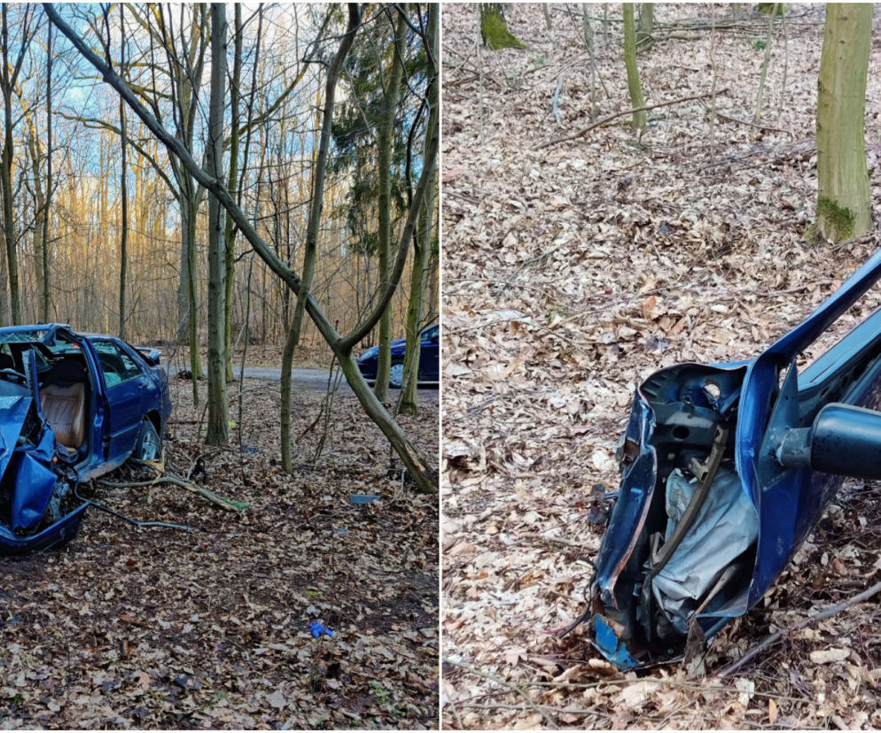 Makabra pod Płockiem! Seat mieszkańców Gostynina rozbił się o drzewo [ZDJĘCIA]