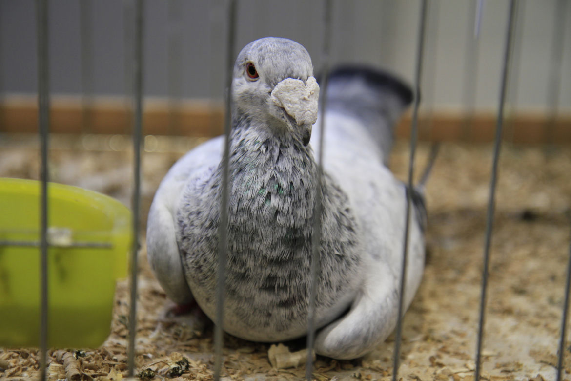 ZooPark 2023 w Lublinie przyciągnął tłumy!