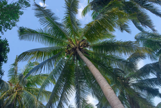 Królowa Przetrwania 3, odcinek 5