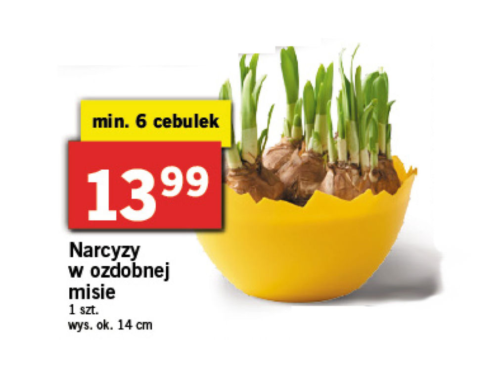 Wielkanocne promocje w Lidlu