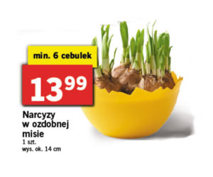 Wielkanocne promocje w Lidlu