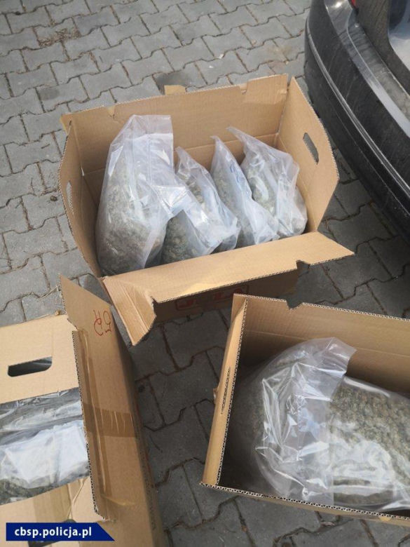 Kolejna akcja CBŚP w Krakowie. Padły strzały! 