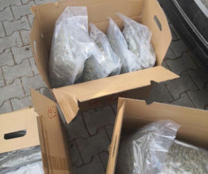Kolejna akcja CBŚP w Krakowie. Padły strzały! 