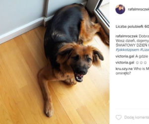 Tak mieszka Rafał Mroczek. Zobacz przytulne mieszkanie aktora