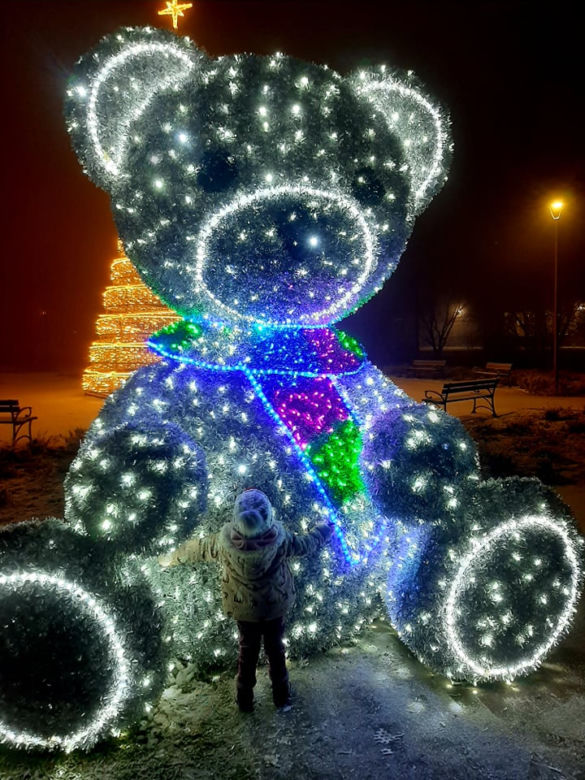 Ze szronem są jeszcze piękniejsze! Świąteczne iluminacje w Łomży