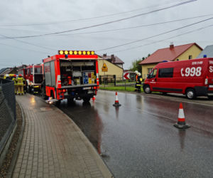 Mała sarenka uwięziona przy autostradzie pod Tarnowem. Uwolnili ją strażacy