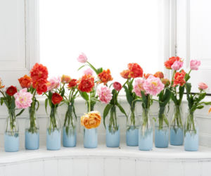 Tulipany w butelkach
