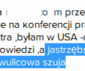 Doda do Agnieszki Jastrzębskiej: Dwulicowa szuja!