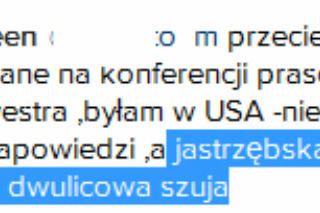 Doda do Agnieszki Jastrzębskiej: Dwulicowa szuja!