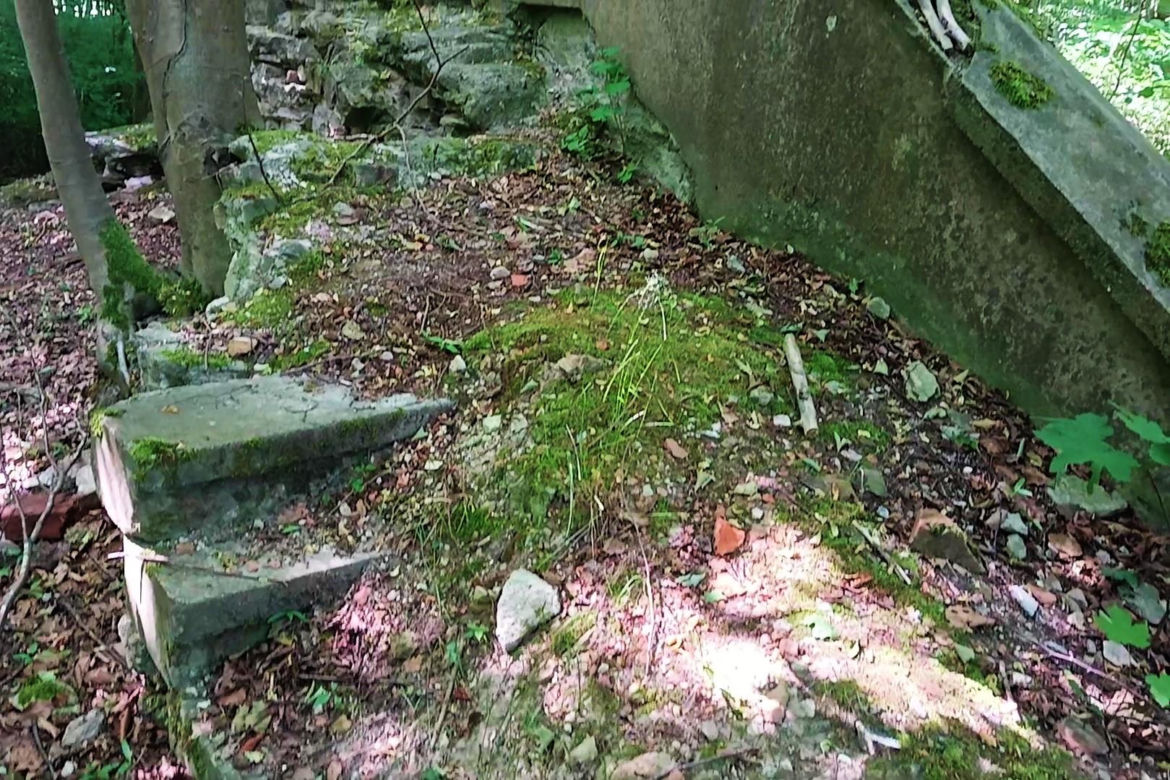 Ruiny pałacu rodu von Ramin