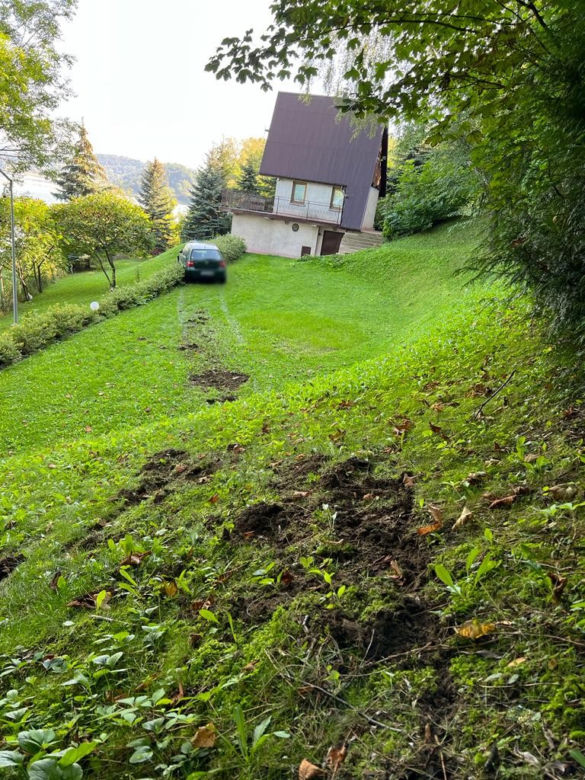 Samochód osobowy wypadł z drogi, wylądował w kwietnikach, a kierowca... Poszedł do domu