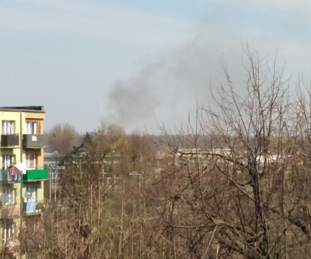 Gostynin. POŻAR masarni na ul. Płockiej! Trwa akcja gaśnicza! [ZDJĘCIA]