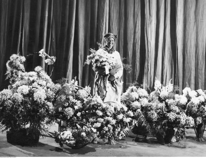 Bomba jądrowa na raka