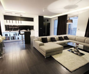 salon z kuchnią