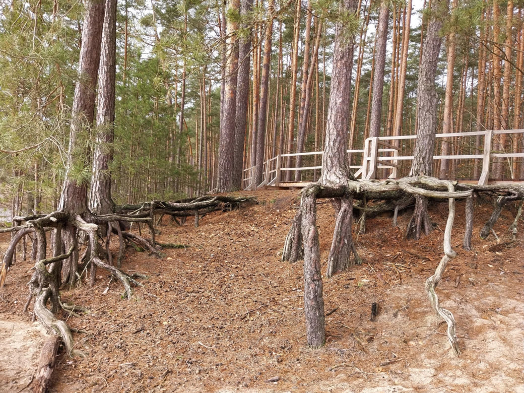Stawy Echo. Roztoczański Park Narodowy