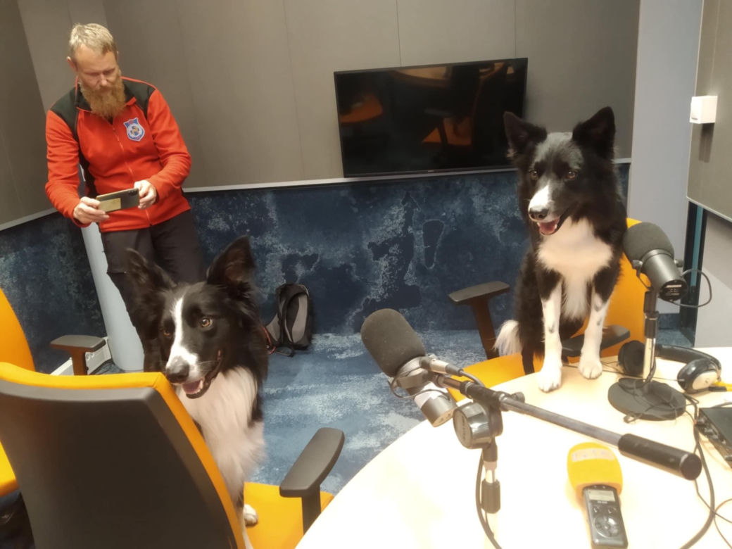 Szczęśliwy finał poszukiwań. Fresh odnalazł seniorkę, która zaginęła w lesie