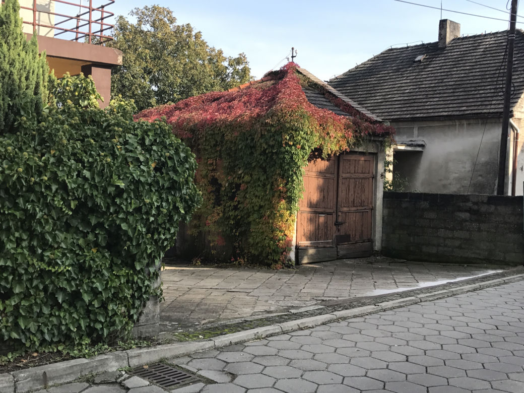 Były kochanek zamordował ja w garażu