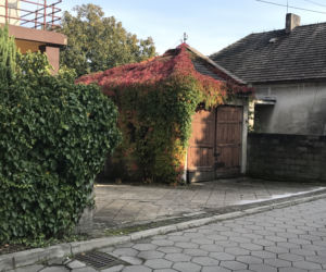 Były kochanek zamordował ja w garażu