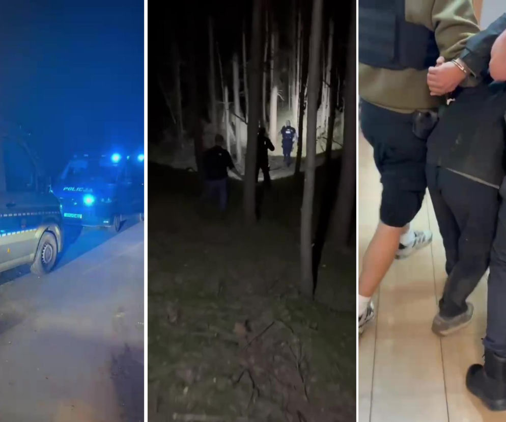 Radiowozy, policjanci w lesie oraz zatrzymanie mężczyzny. O obławie pod Obornikami przeczytasz na Eska Poznań.