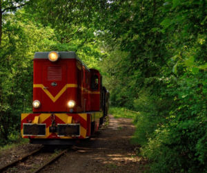 Najstarsza na świecie wąskotorówka wraca na szlak z Bytomia do Miasteczka Śląskiego! [TRASA, CENNIK]