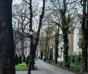 Wiosna 2021 w Poznaniu