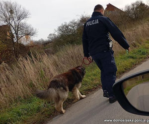 Pies nie pozwalał podejść do właściciela, który leżał na ziemi. Tak przekonał go policjant z Trzebnicy!