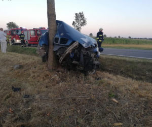Kierowca BMW wypadł z drogi na zakręcie. Samochód uderzył w drzewo [ZDJECIA]