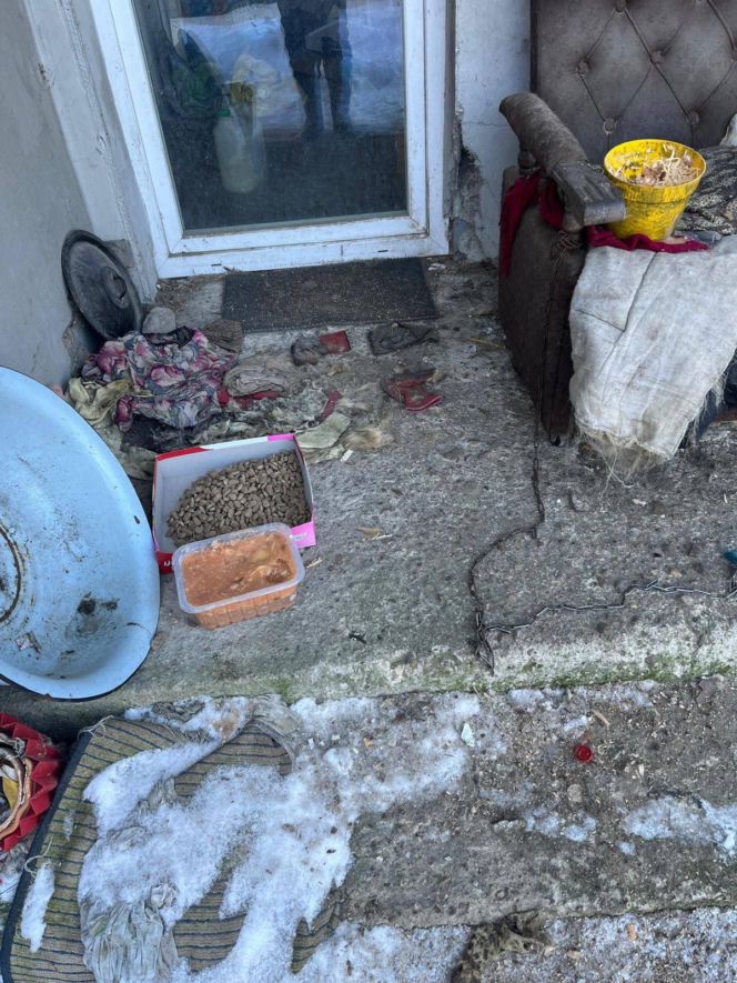 Interwencja w gminie Brody. Pies zamarzł na łańcuchu przywiązany do fotela. „Ludzie to potwory”