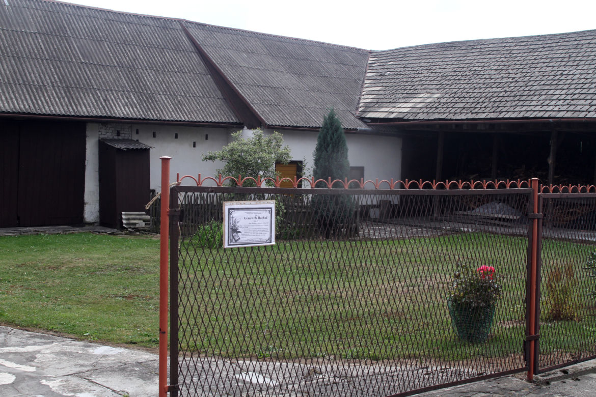 "ZABIŁ MI MAMĘ POD DOMEM".