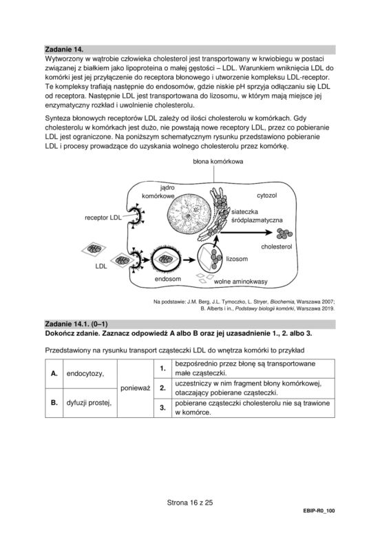 Matura 2022: biologia rozszerzona. Arkusze CKE, zadania, pytania. Poziom rozszerzony