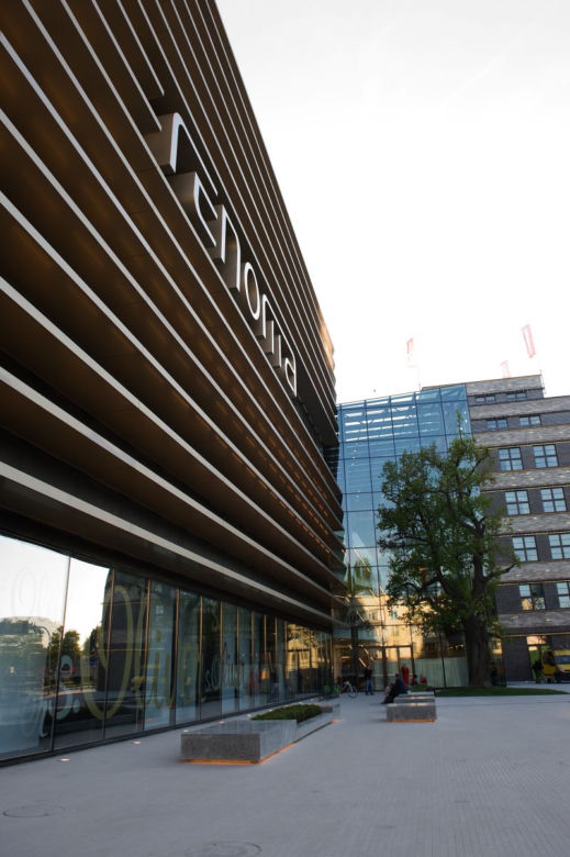Renoma (5).jpg