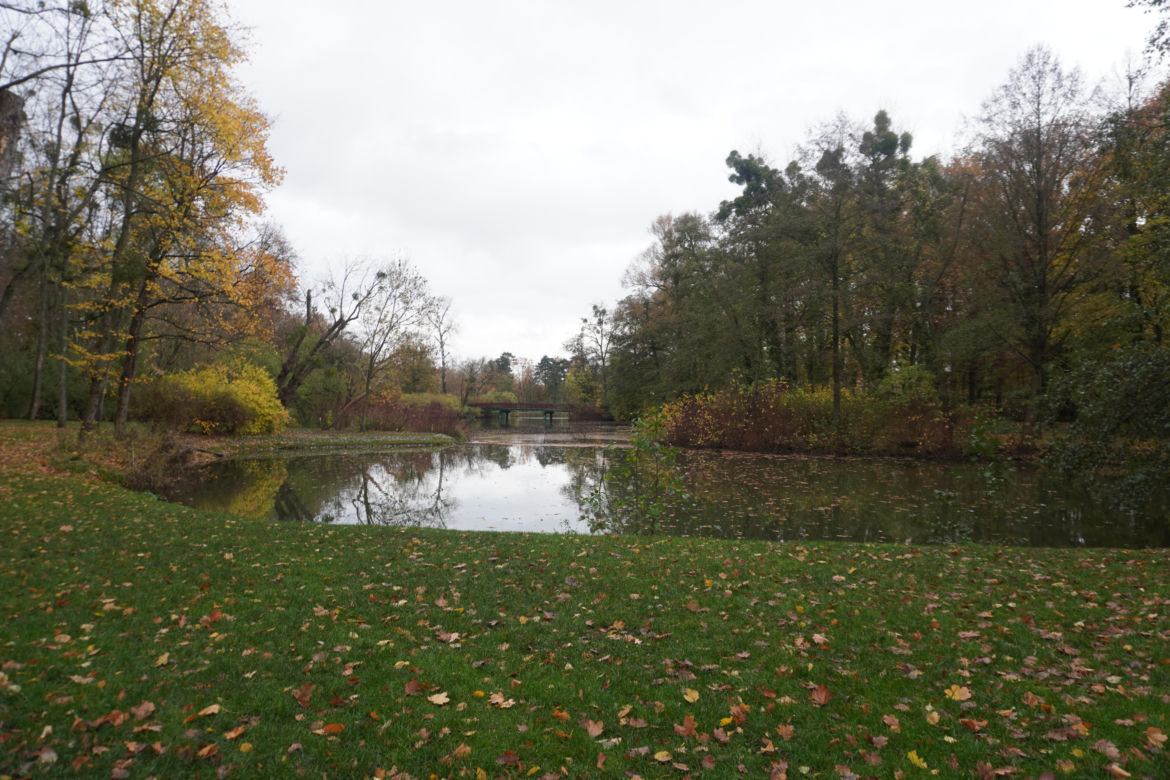 Park Sołacki w Poznaniu jesienią