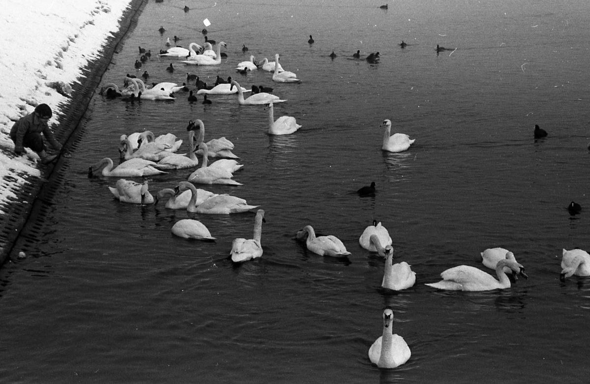 Rybnik zimą w latach 80.