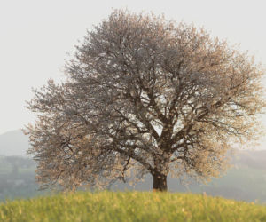 Pogoda na weekend w Olsztynie 10-12 kwietnia. Zapowiada się słoneczny i bezdeszczowy czas