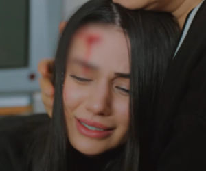 Miłość i nadzieja odc. 356. Bahar, Kuzey