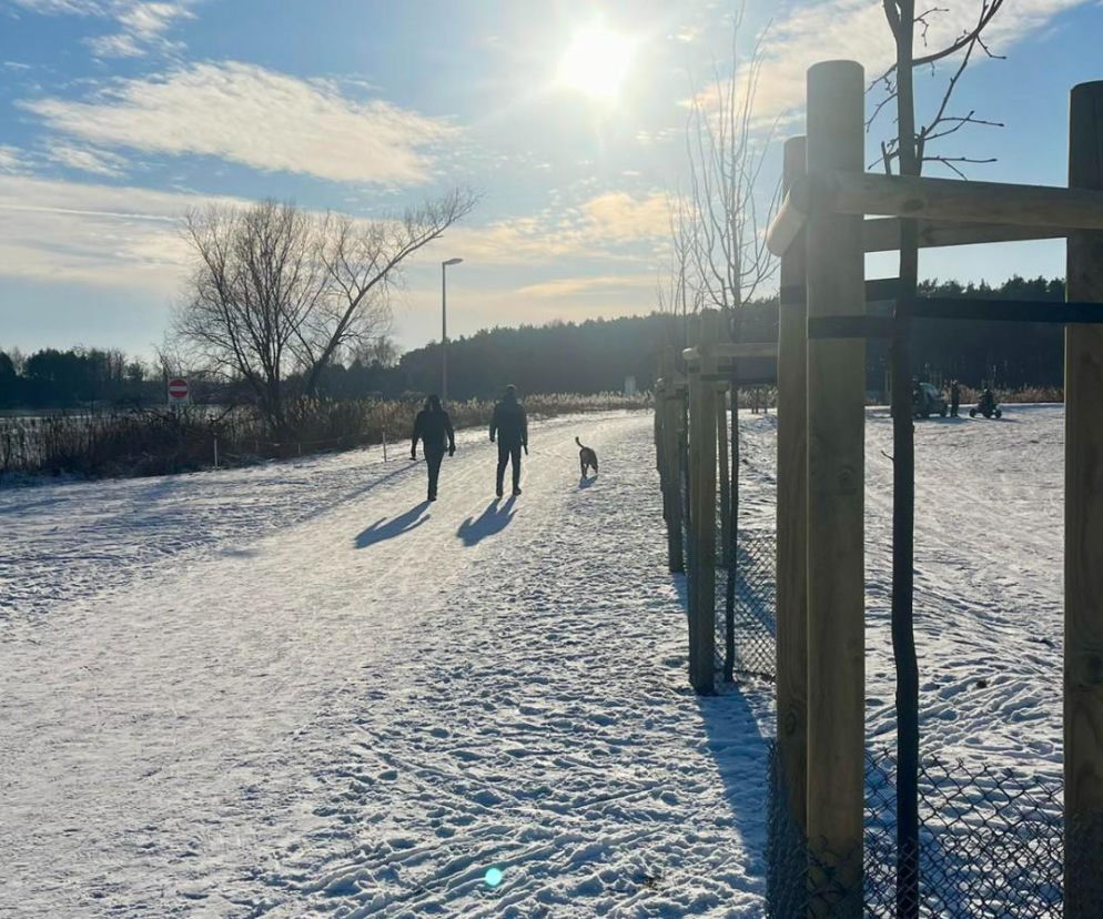 Zimowe szaleństwo nad zbiornikiem w Zaborowie. Miasto zaprasza na mini kulig i ognisko
