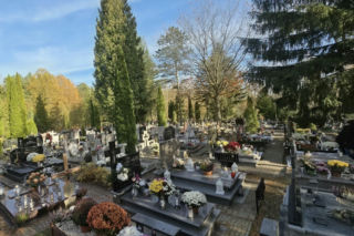 Symbolika zniczy, chryzantem i wieńców. Dlaczego właśnie te rzeczy kładziemy na grobach w listopadzie?