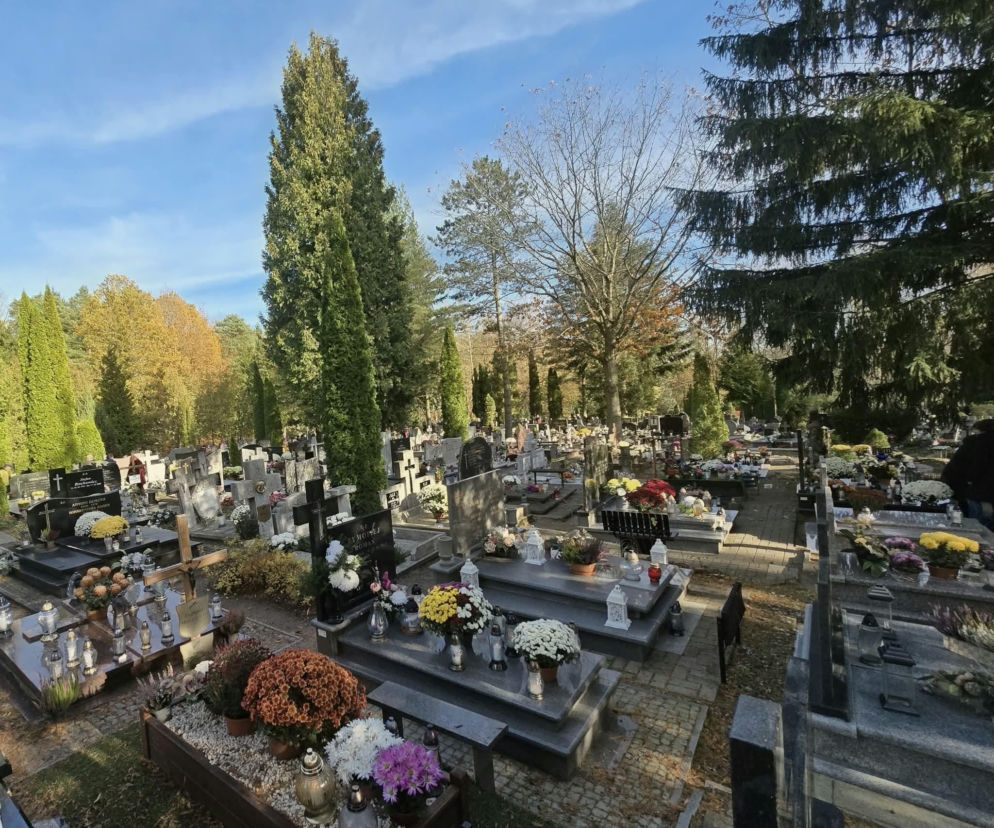 Znicze, chryzantemy i wieńce. Dlaczego właśnie te rzeczy stały się symbolem listopadowych odwiedzin na cmentarzach?