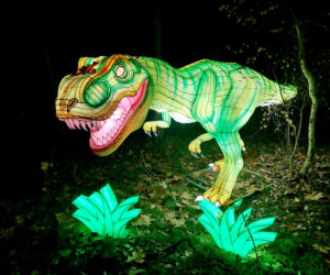 Lumina Park Bydgoszcz