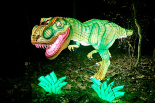 Lumina Park Bydgoszcz