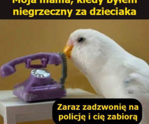 Święto Policji wypada 24 lipca. Mundurowi odbiorą życzenia, a internet już szykuje swoje memy
