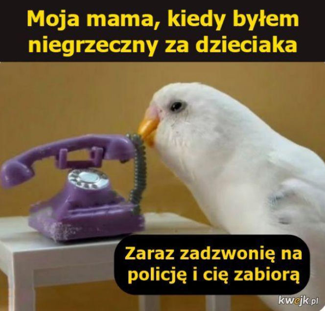 Święto Policji wypada 24 lipca. Mundurowi odbiorą życzenia, a internet już szykuje swoje memy