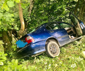 Uhryń. Zuchwała kradzież krowy zakończyła się w przydrożnym rowie. Cielę przeżyło