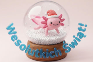 Życzenia bożonarodzeniowe do druku. Świąteczne wierszyki PDF do przesłania bliskim