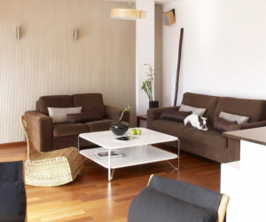 Urządzamy SALON: inspiracje, zdjęcia